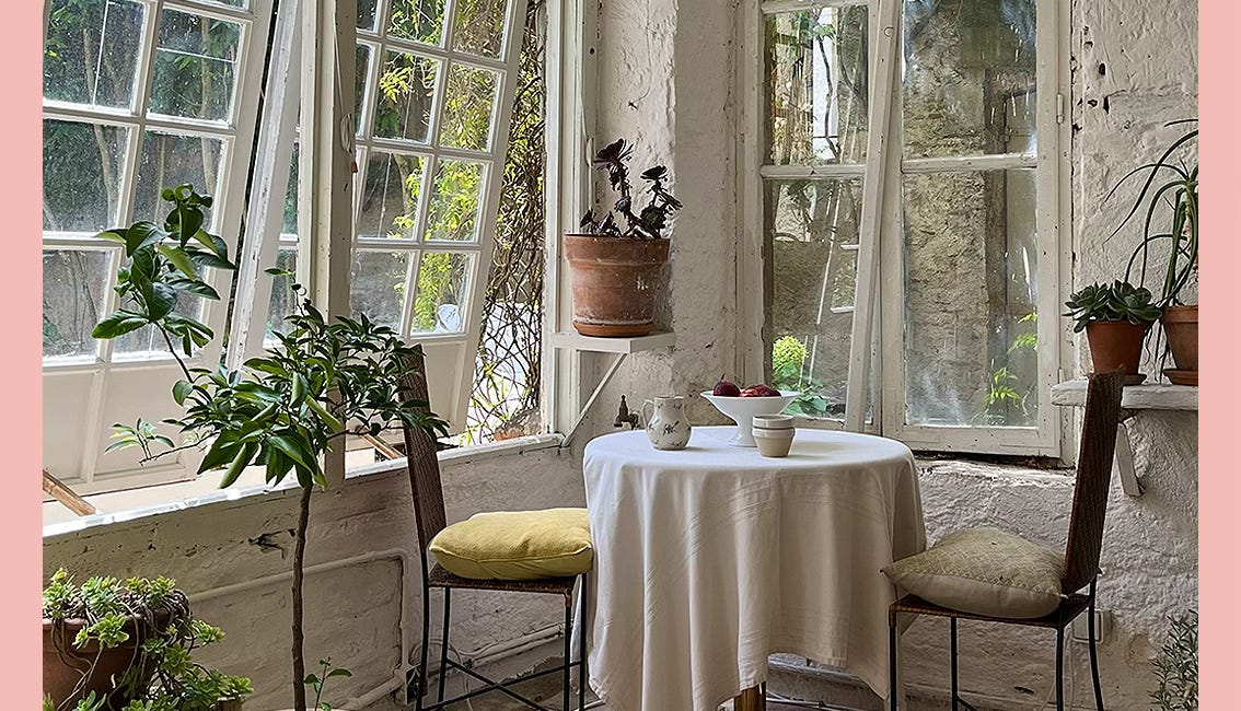 Travels With My Ant*