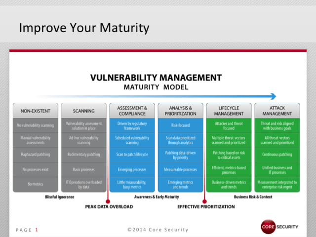 MaturityModel