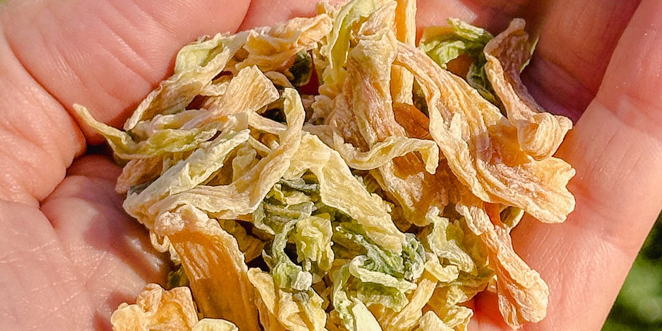 日曬: Consider the Sun