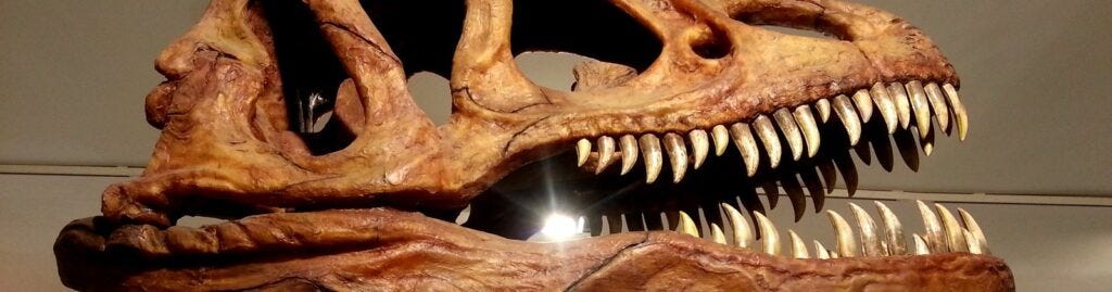 Restos de dinosaurios en españa