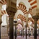 Al-Andalus Tribune