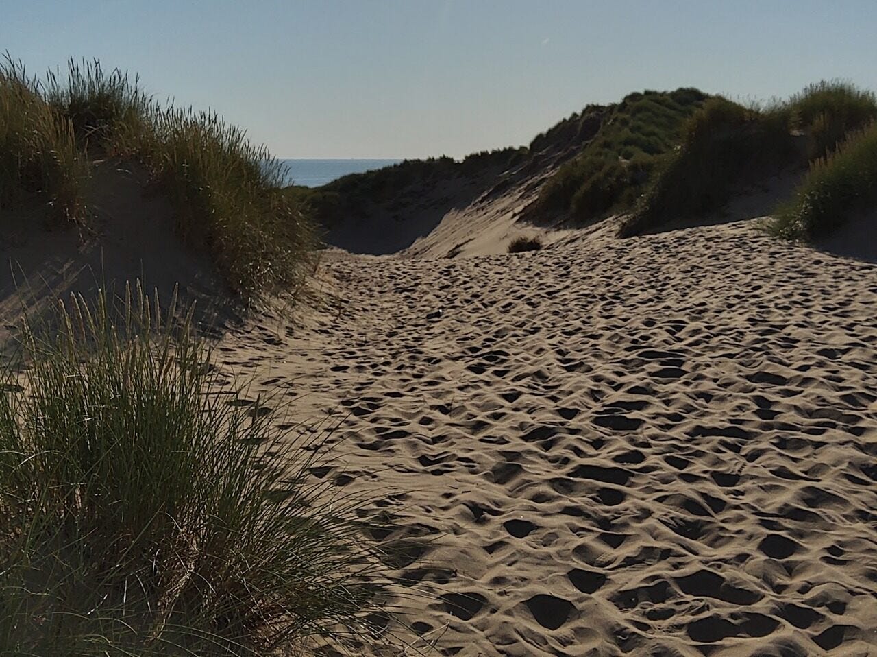 Footprints through the Formby sand dunes