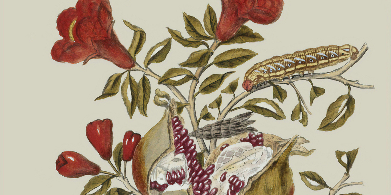 How far English can take you