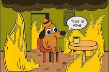 This is Fine" Meme Analysis | Medium This is Fine" Meme Analysis | Medium