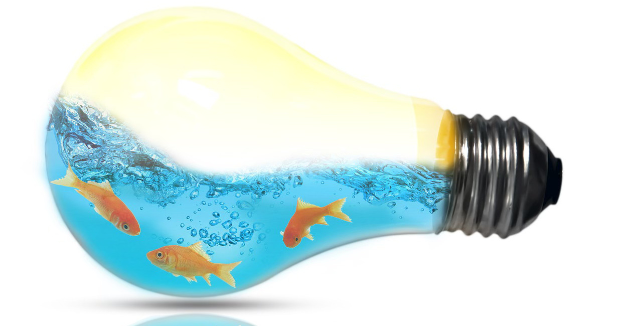 Everything is up for (re)negotiation: Megatrend #10