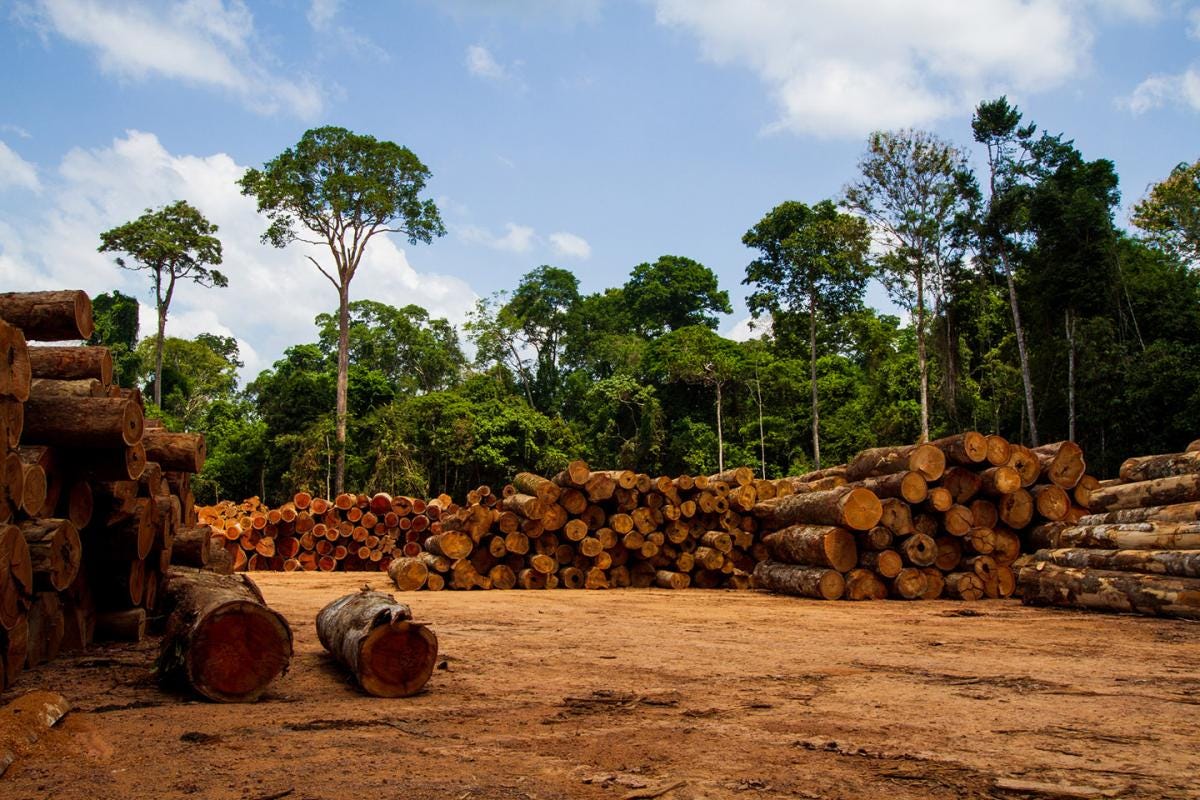 L'exploitation durable des ressources naturelles : Le défi de la  gouvernance | International Institute for Sustainable Development