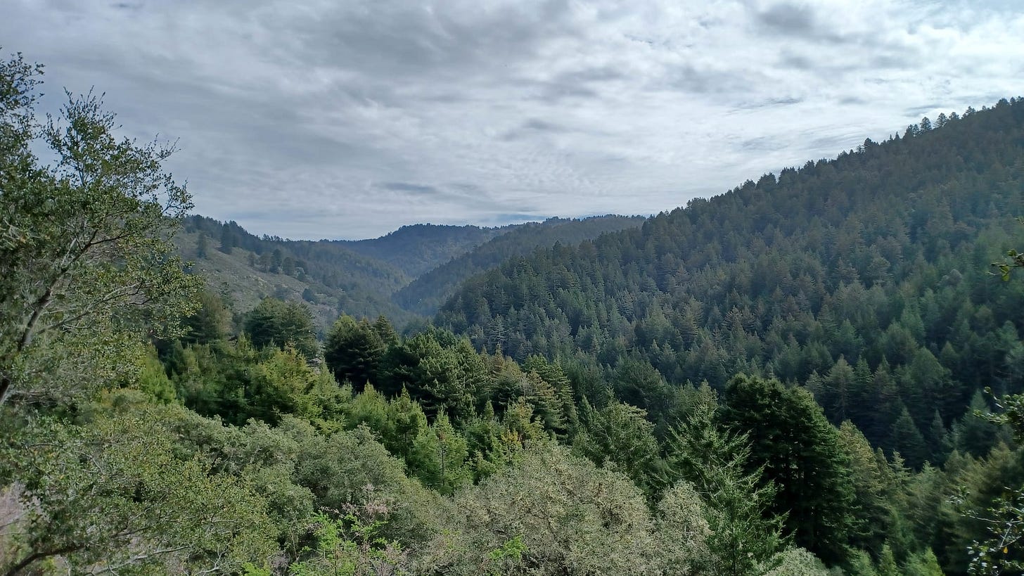 A week-long guide to San Francisco