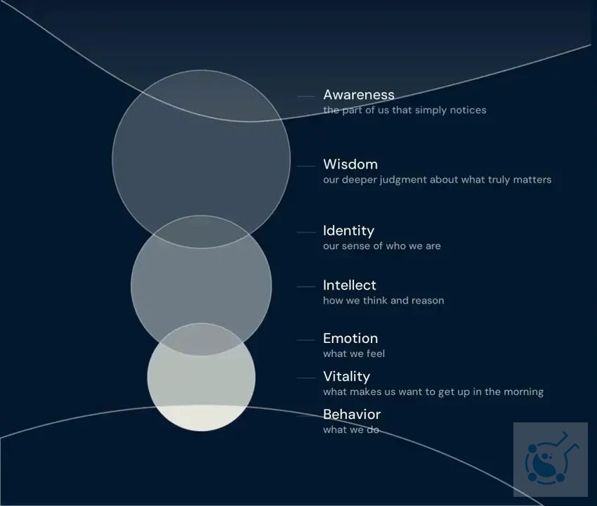 Diagram labeling awareness, wisdom, identity, intellect, emotion, vitality, and behavior beside the speaker Diagram labeling awareness, wisdom, identity, intellect, emotion, vitality, and behavior beside the speaker