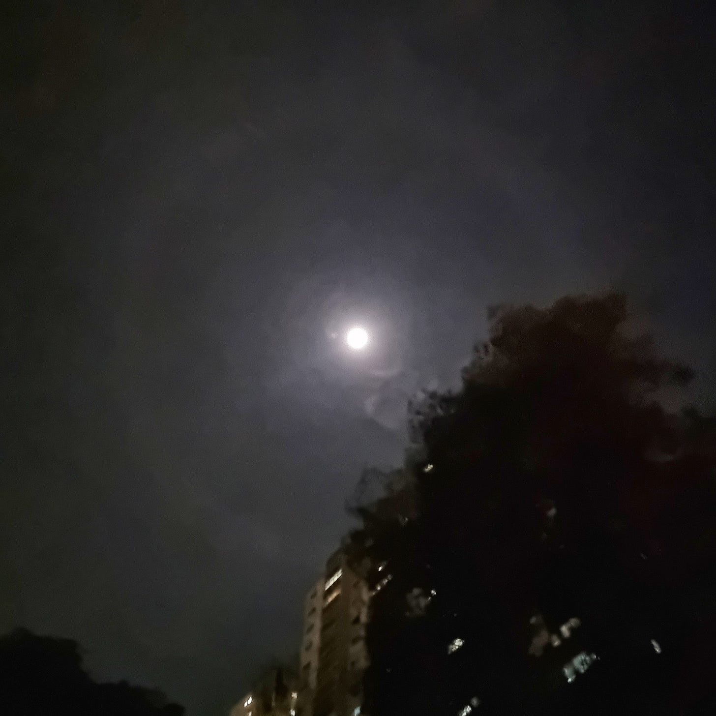 a pixelated photo of the moon with the silhouette of a tree and a building in the foreground. Around the moon is a pale ring of light, like a halo.  a pixelated photo of the moon with the silhouette of a tree and a building in the foreground. Around the moon is a pale ring of light, like a halo.