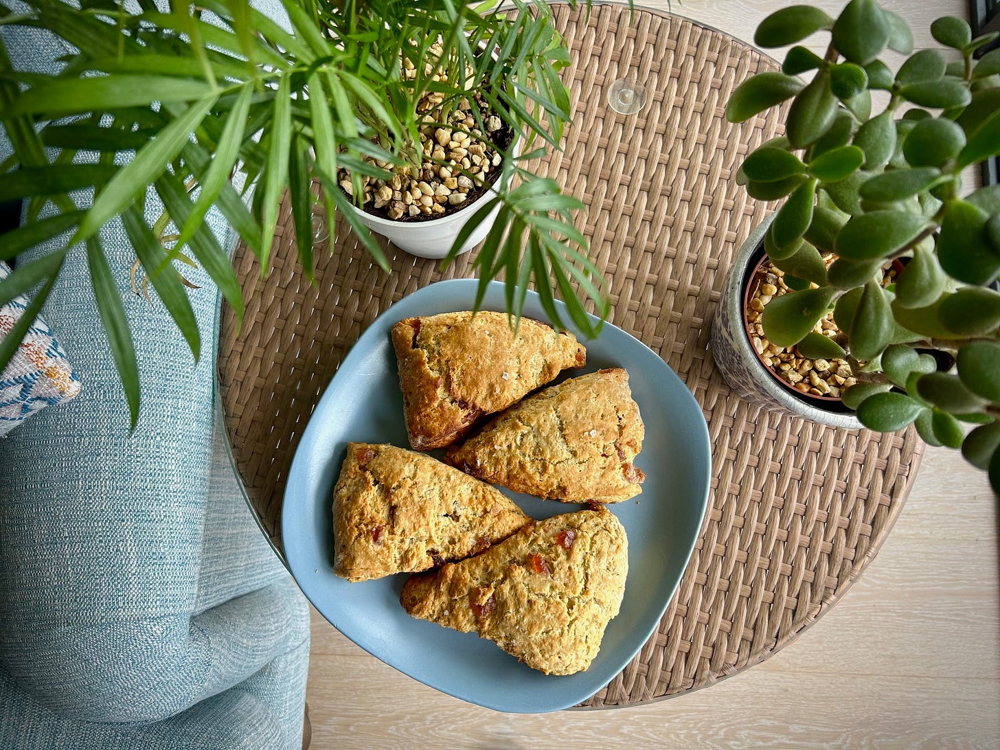 Four giant cherry scones on a plate next to two house plants.