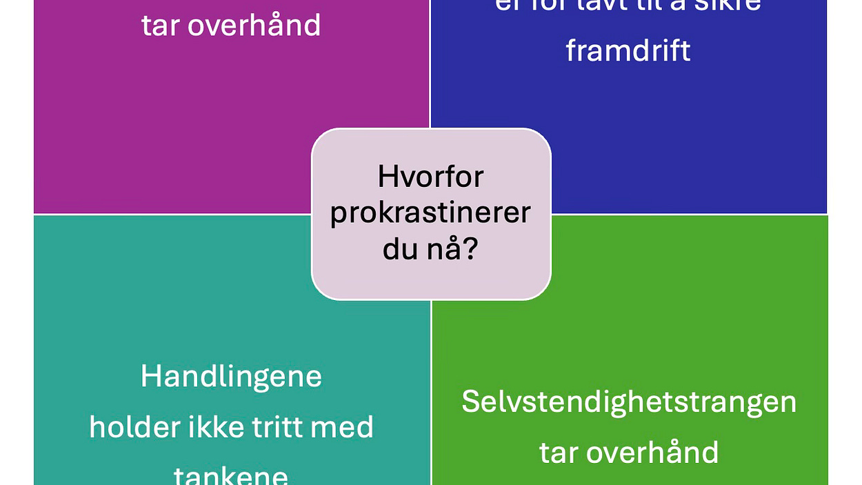 Campuslivet | Nina Lager Vestberg | Substack, image size:1250x703