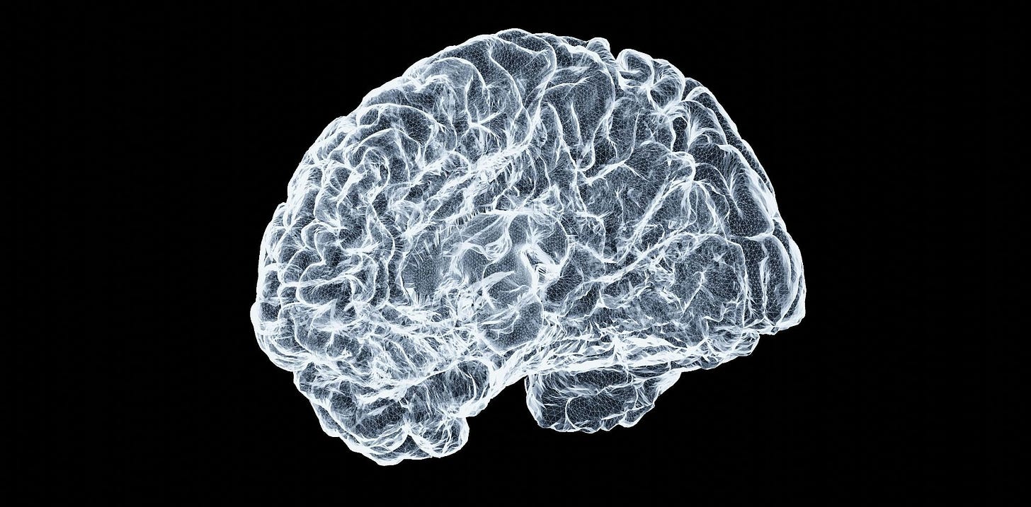 close up neon image of the brain close up neon image of the brain
