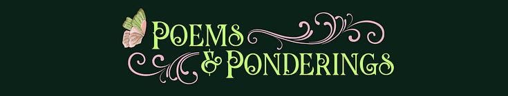 𖦹 poems & ponderings 𖦹