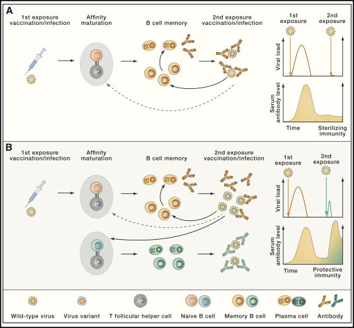 Figure thumbnail gr2