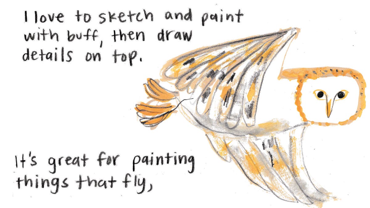 owl illustration