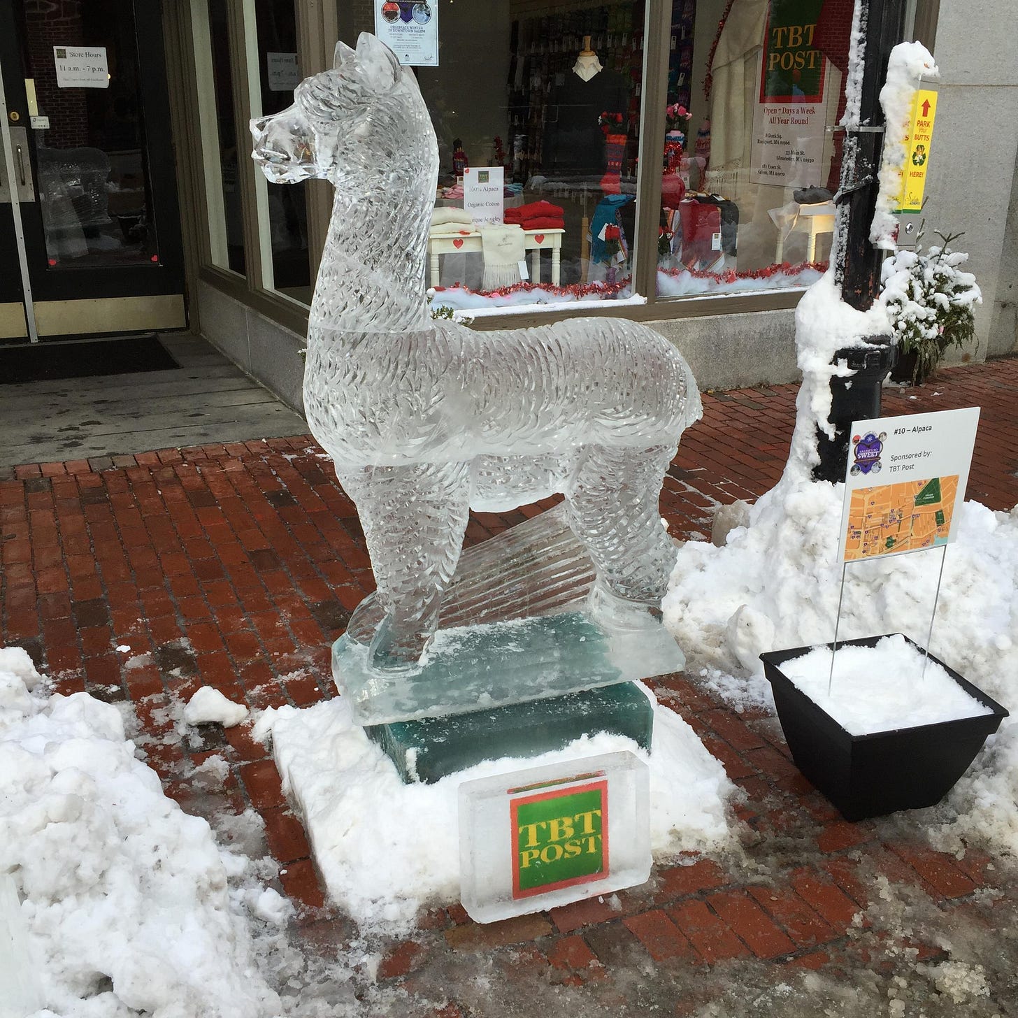 Alpaca Alpaca