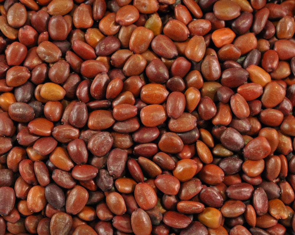 A proposito di parole a caso... A proposito di parole a caso...