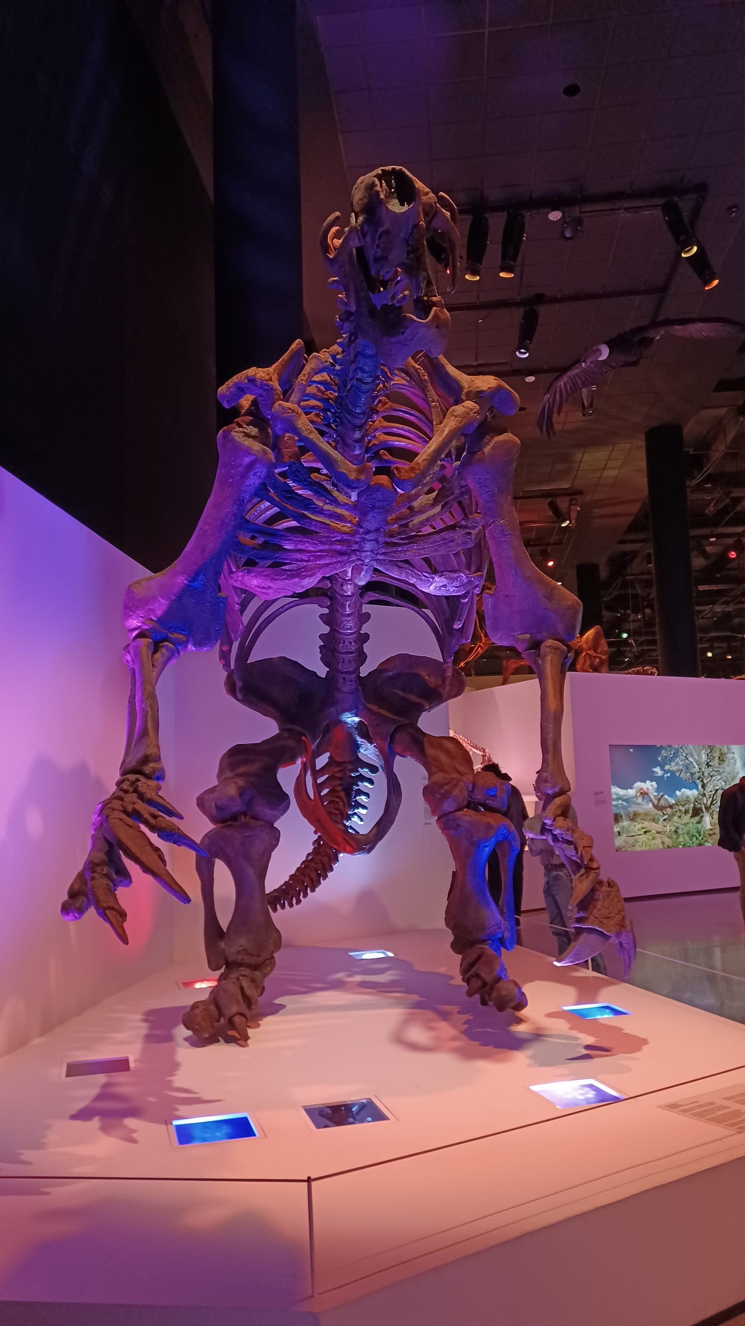 Houston, we have landed! Houston, we have landed!