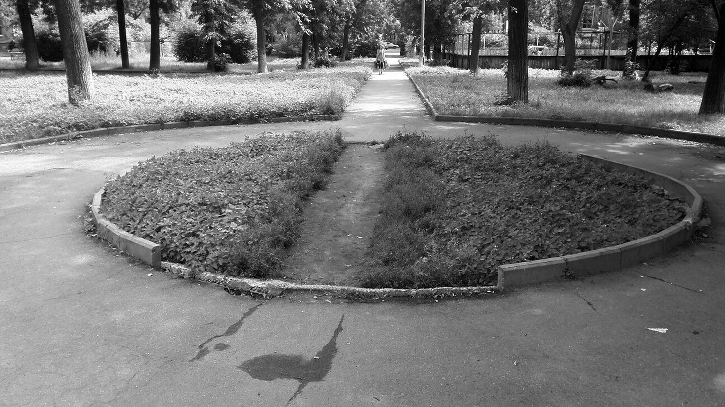 Black-and-white photograph of a desire path cutting through a planted circular divider in a park, showing how repeated human movement creates an unofficial shortcut between paved walkways.