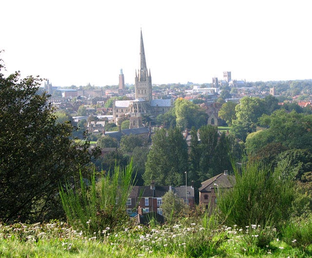 The city of Norwich viewed from St James Hill