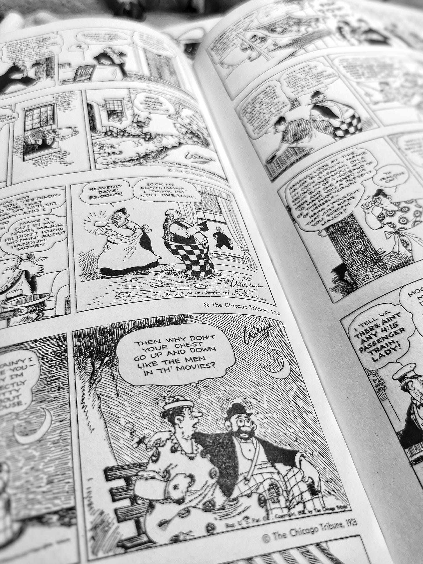 the smithsonian collection of newspaper comics book