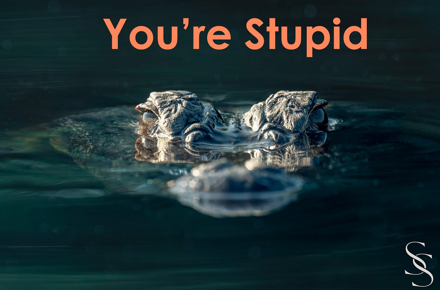 A crocodiles swimming in water

AI-generated content may be incorrect.