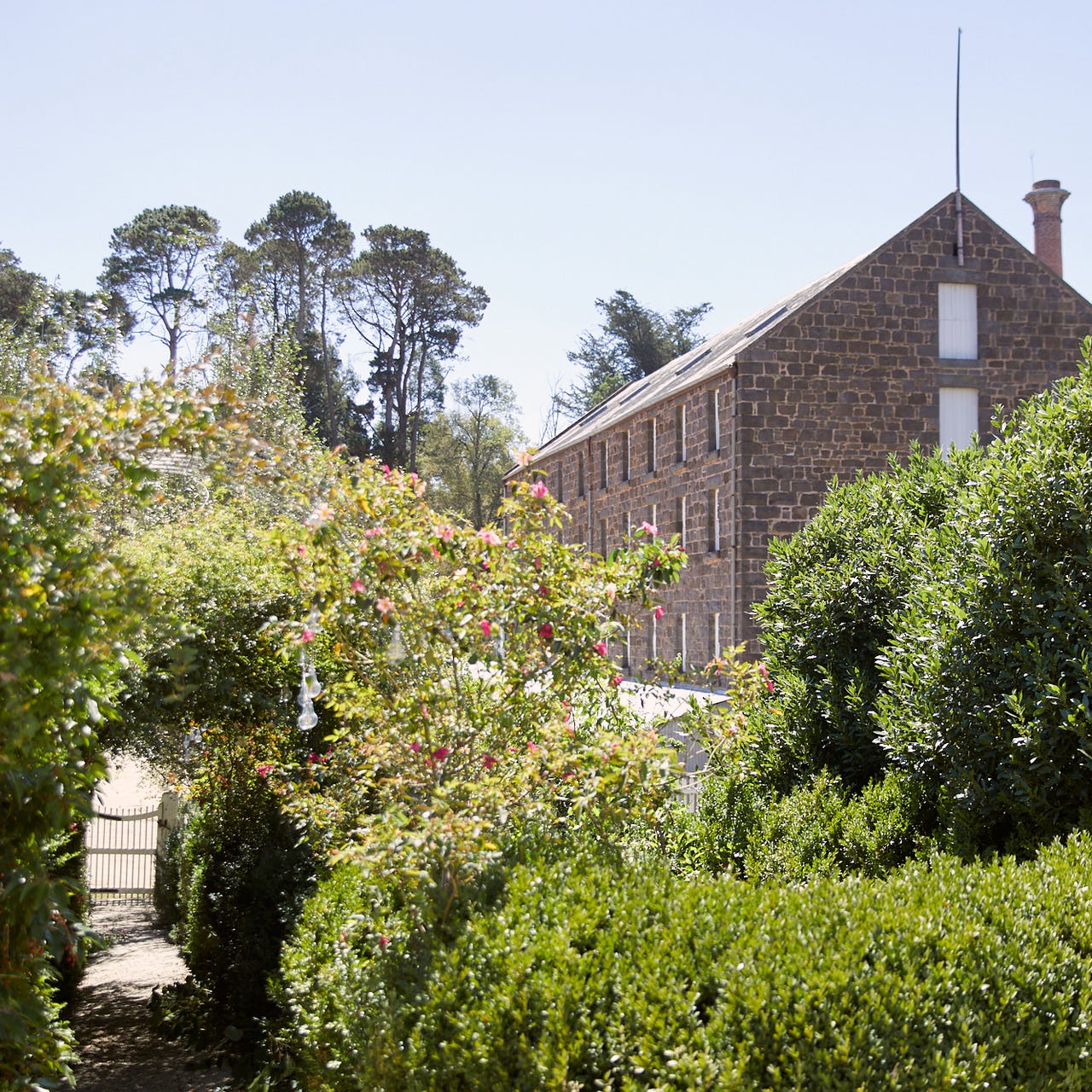 The Millhouse Diaries