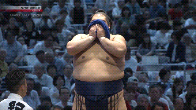 Sumo Stomp! | Tim Edwards | Substack