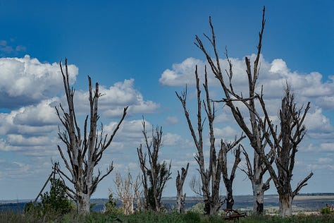 Traces of devastation and resilience in Andriivka. Amidst the shattered remains of buildings, rusted debris, and skeletal trees stripped bare by war, nature begins its quiet defiance — stubborn green shoots rising through the scars of conflict. (VX Photo/ Vudi Xhymshiti)