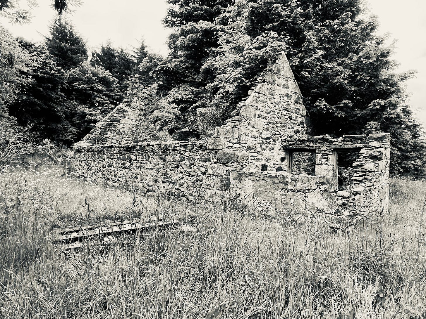 On higher ground too we built and farmed and fought with the elements before leaving cottages and steadings to slowly become one with the ground again.