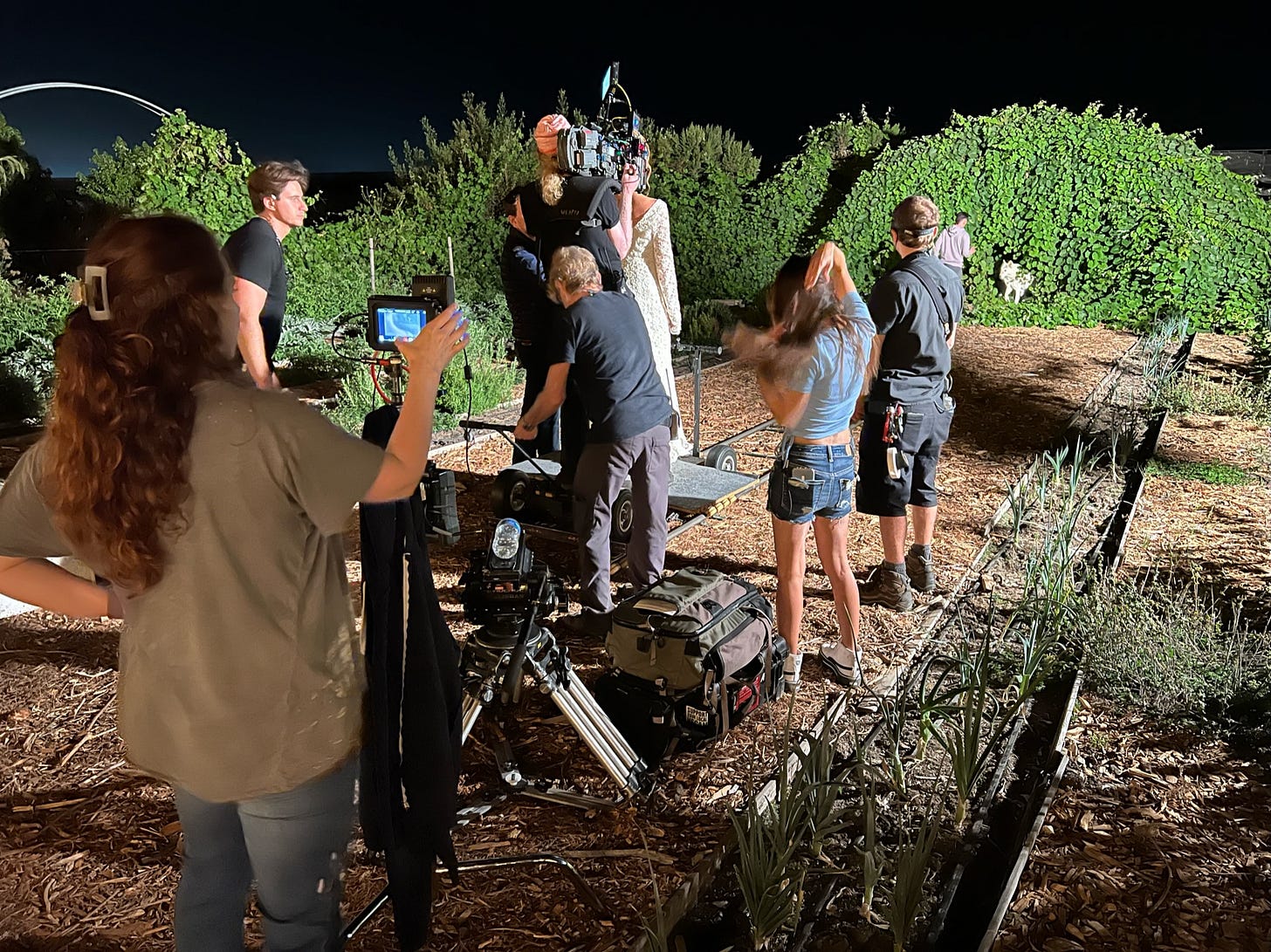 Hotah the wolf gets in place with his handler, Mike Miliotti while cast and crew prep for a take. From the left, director Courtney Hoskins, 1st AD Jacob Slusher, 2nd AD Arne Nostitz-Rieneck, Cinematographer David Auner, David Schweitzer filling in as dolly grip and supervising lights, Danielle LaRauf as the Bride, Camera intern Gemini Elisabet Davis and 1st AC Andrew Parrotte.