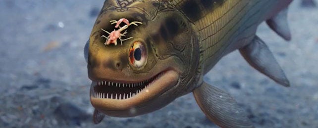 Illustration of gaping fish showing structure of its brain Illustration of gaping fish showing structure of its brain