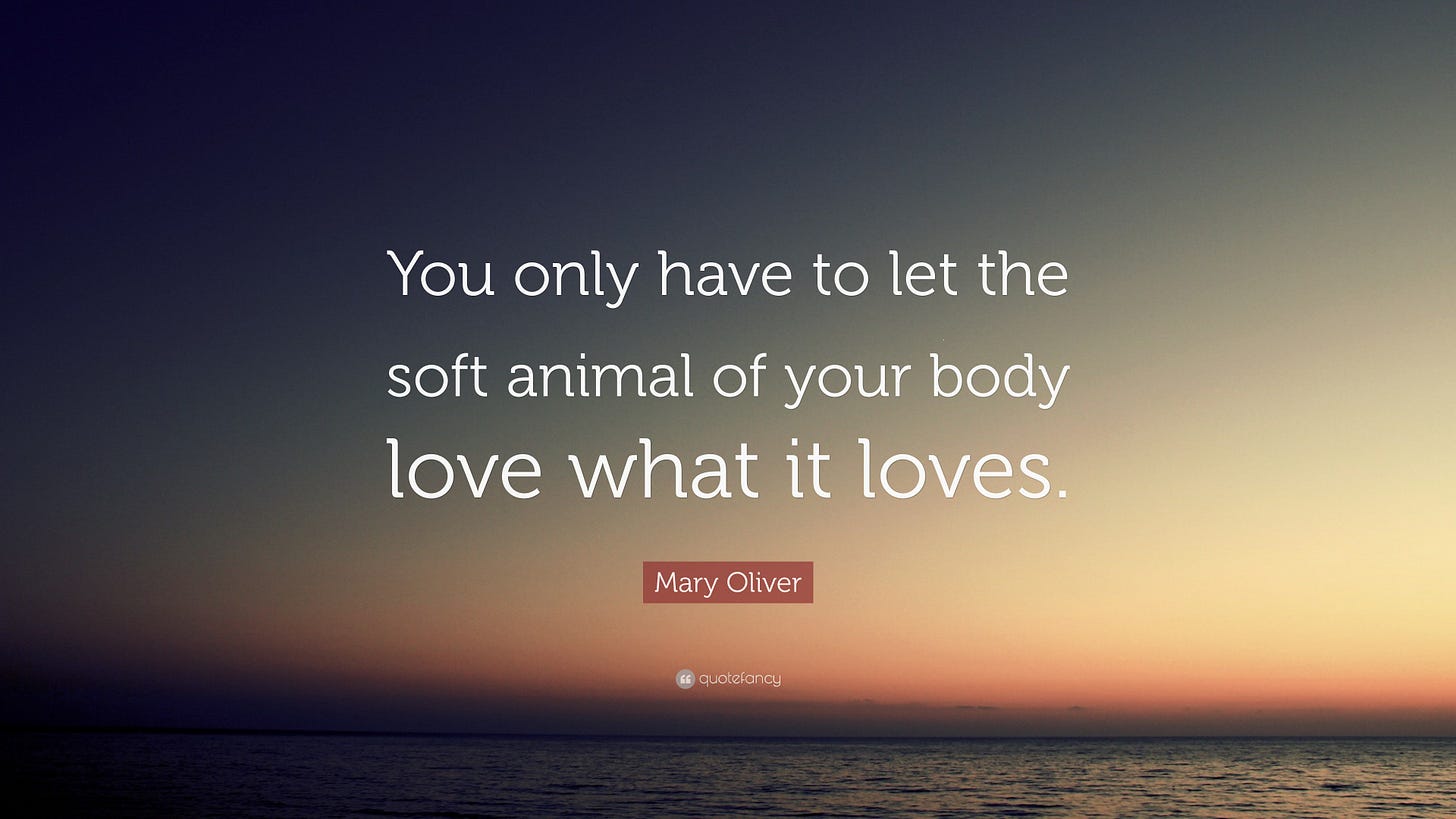 Mary Oliver Quote: “You only have to let the soft animal of your body love  what