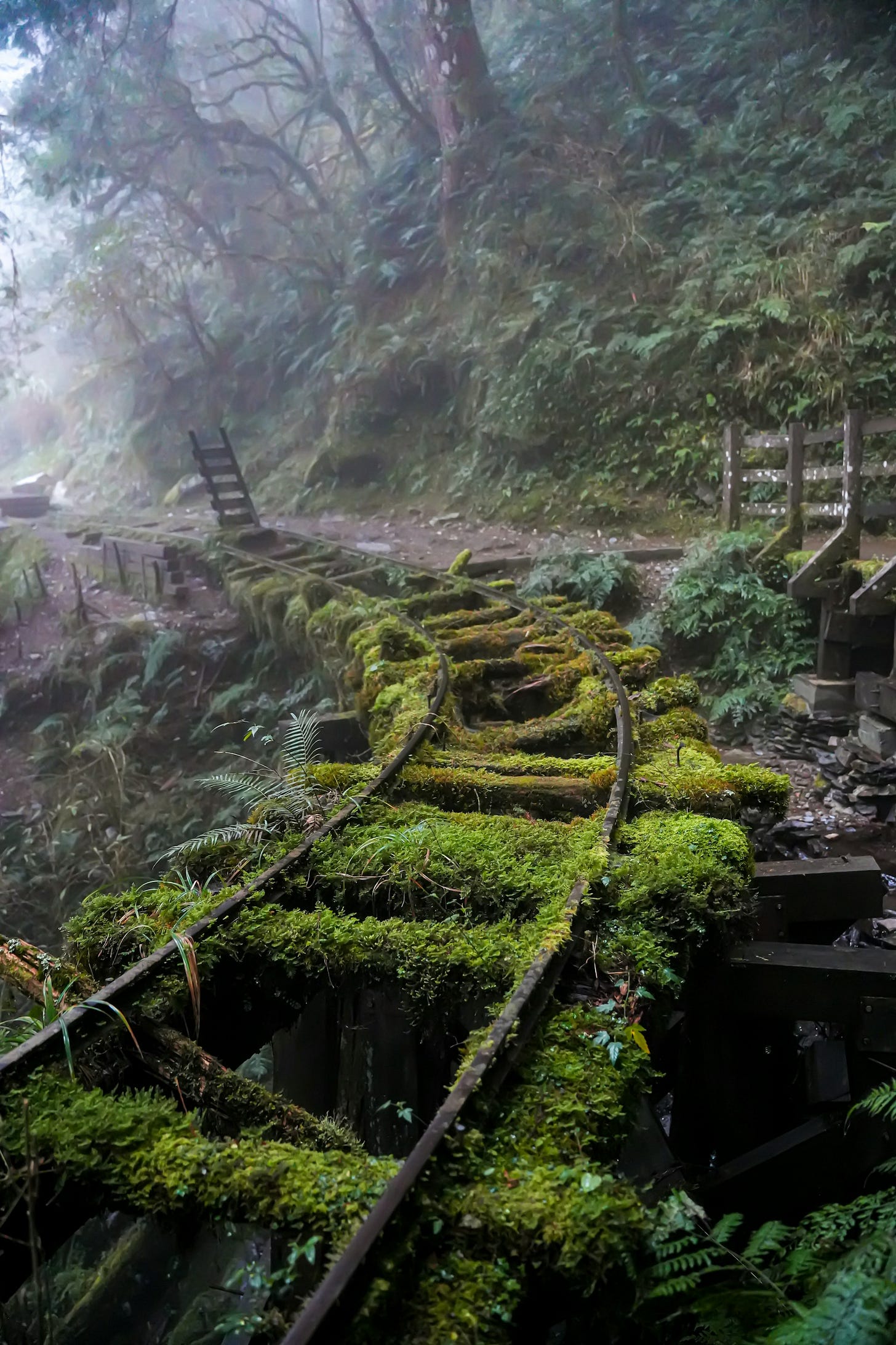 A pair of moss‑covered train tracks curve gently through a dense, fog‑filled forest. Tall trees rise on either side, their trunks fading into the mist. The scene is quiet and atmospheric, with soft grey light and a sense of stepping into the unknown. A pair of moss‑covered train tracks curve gently through a dense, fog‑filled forest. Tall trees rise on either side, their trunks fading into the mist. The scene is quiet and atmospheric, with soft grey light and a sense of stepping into the unknown.