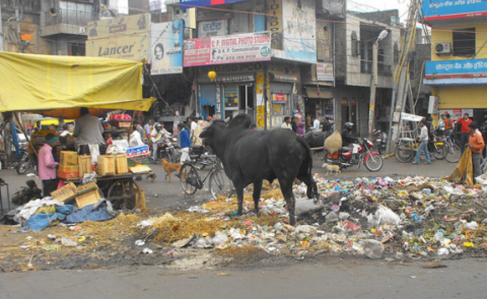 India - buried under stinking rubbish heaps