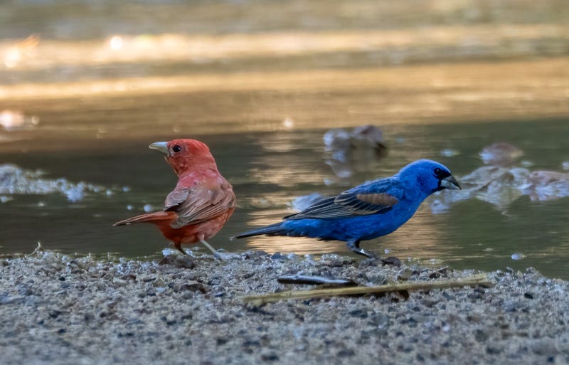 20250723-misc-56-Edit.jpg 20250723-misc-56-Edit.jpg