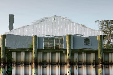 The Watercolors: subversion project