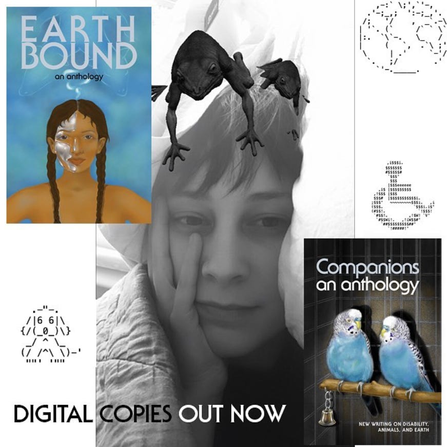 a digital collage featuring a black and white selfie of Olivia (a youngish while woman) in bed. two digital frogs sit on her head. ASCII art of a dog, wheelchair, and Earth are positioned on the borders. Two covers for the anthology are in the left top and right bottom corners. Text reads “digital copies out now” in all caps.