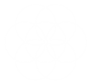 The Seed of Life — Krystleyez The Seed of Life — Krystleyez