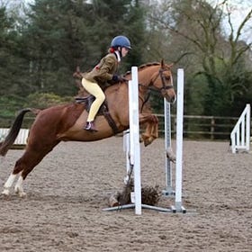 Danescroft kicks off 2025 with Working Hunter show