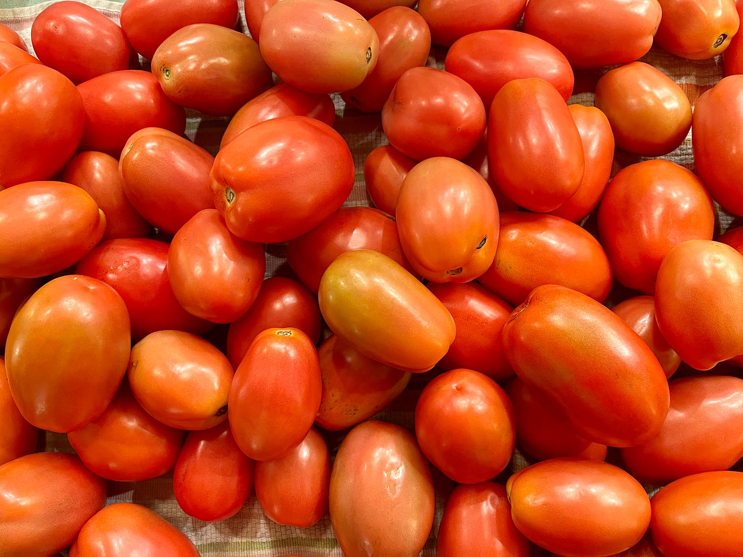 paste tomatoes