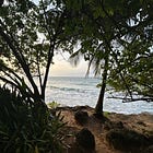 Letter from Puerto Rico