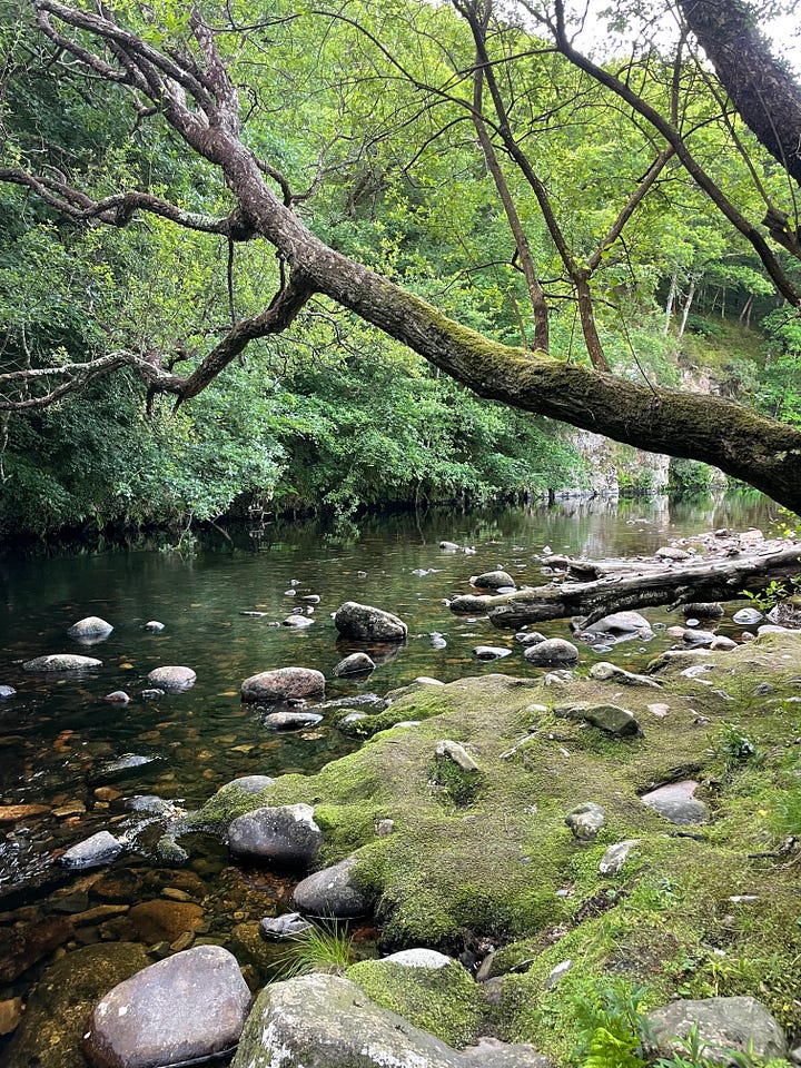 L-R: a river with rocks and trees. A white woman standing at the centre of stone circle. A hand holding a bright orange flower. A coastal path with bright green vegetation and ocean alongside it.