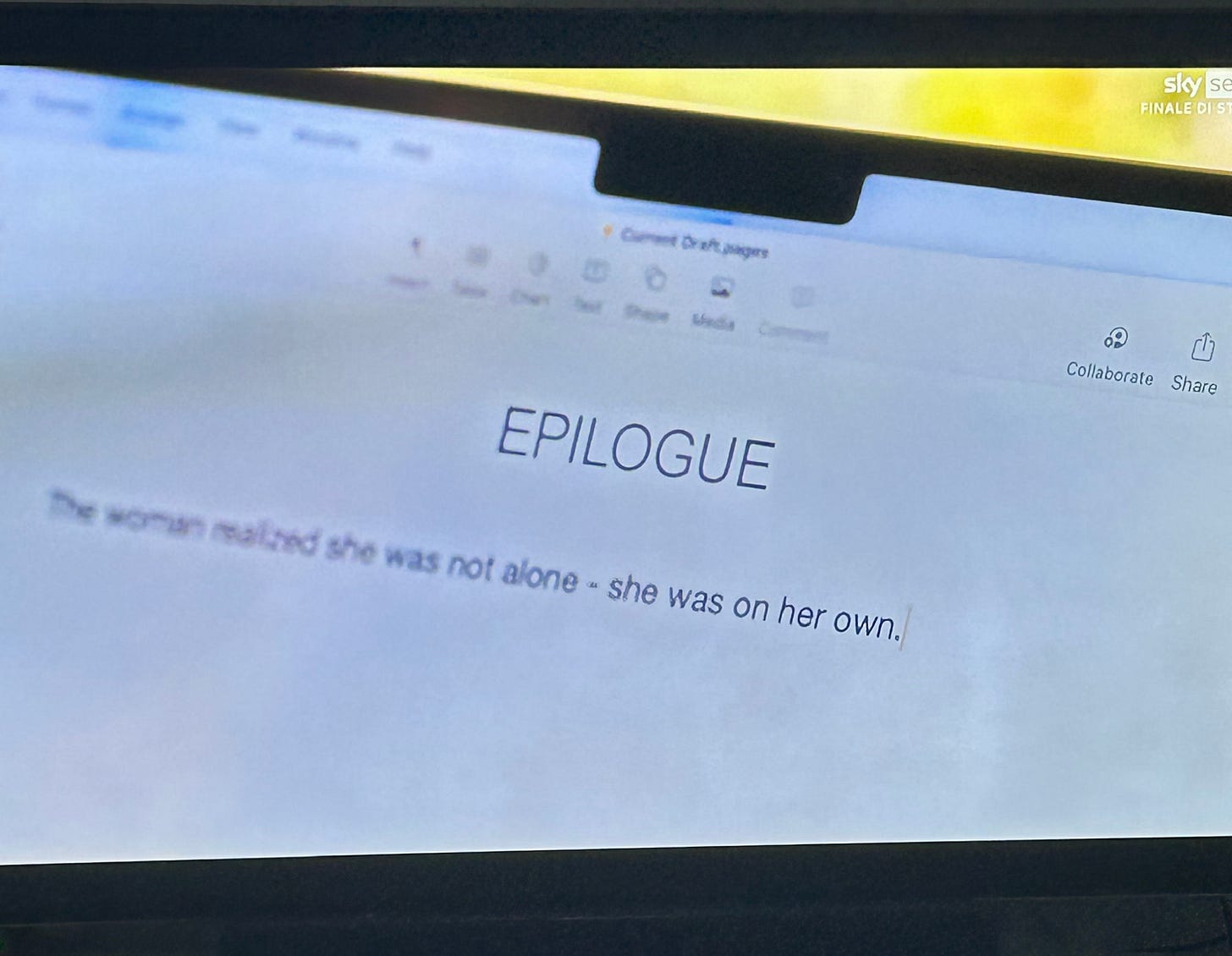 Schermo del portatile di Carrie che mostra le ultime parole del suo libro: "Epilogue. "The woman realized she was not alone. She was on her own."
