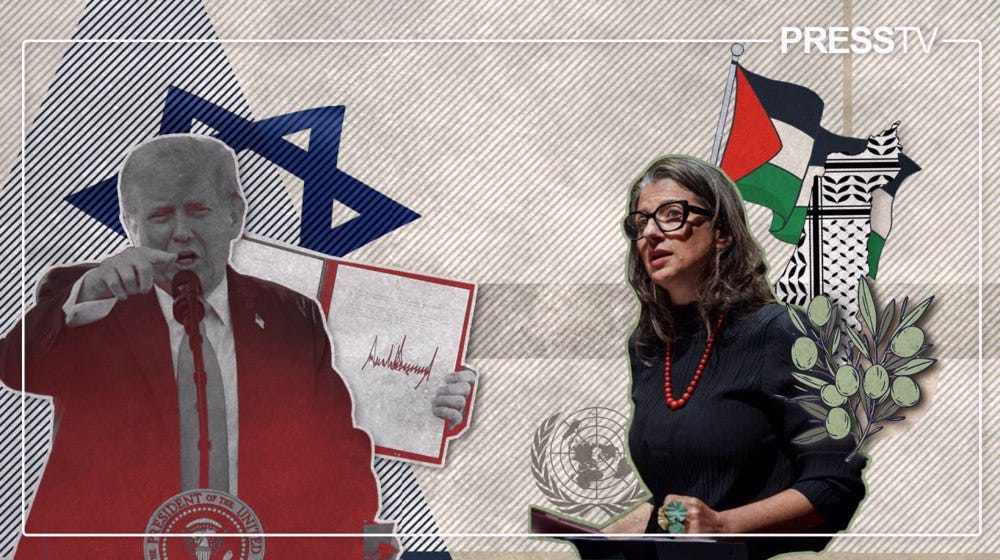 Francesca Albanese smeared for exposing tech billionaires complicit in Gaza genocide