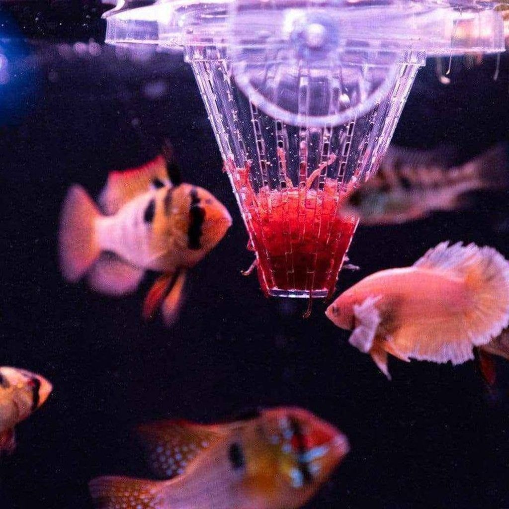 Load image into Gallery viewer, Worm Feeder Cone - Aquarium Co-Op
