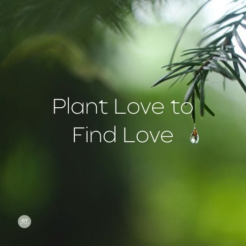 Plant Love to Find Love a blog by Gary Thomas