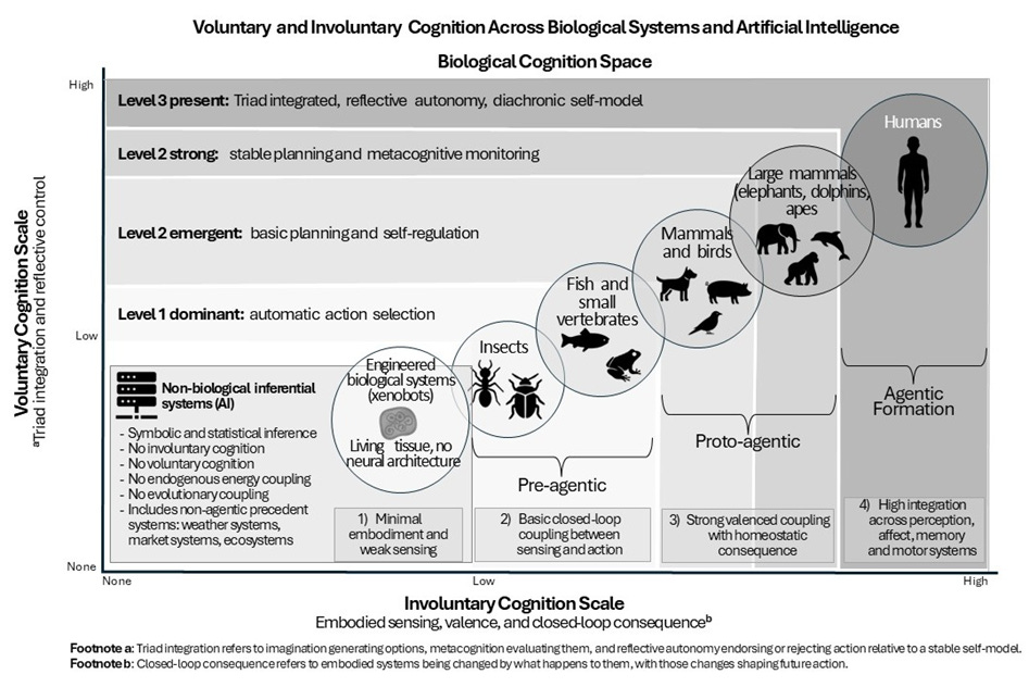 The Structure of Conscious Agency - by Felipe A. Zubia