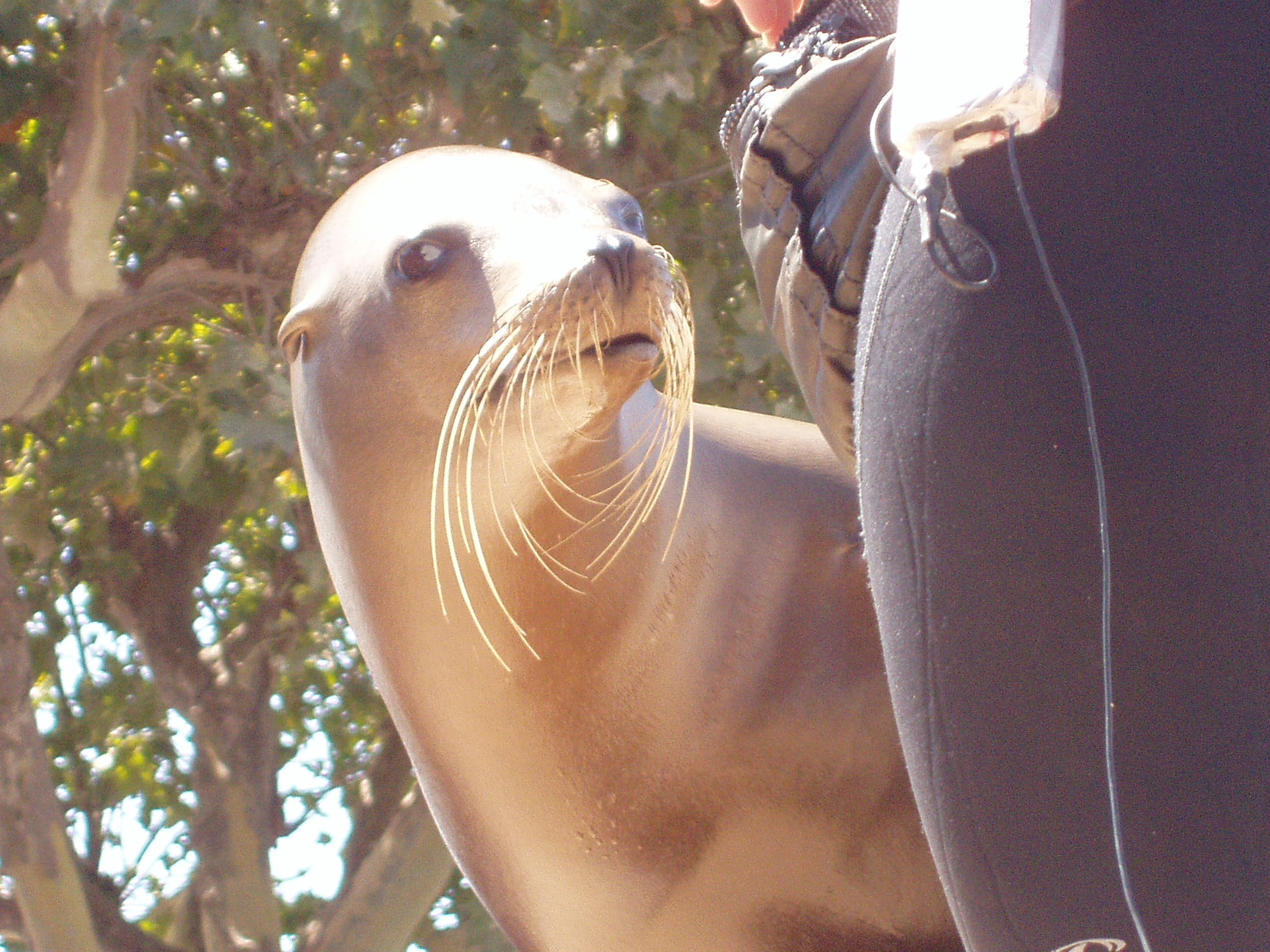 Substack profile picture for @path