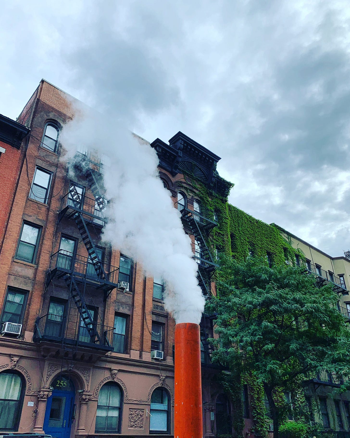 steampipe nyc